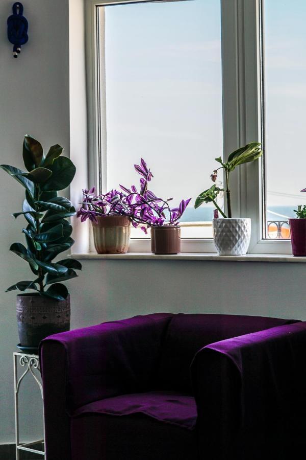 Vila Gladiola Eforie Nord Zewnętrze zdjęcie